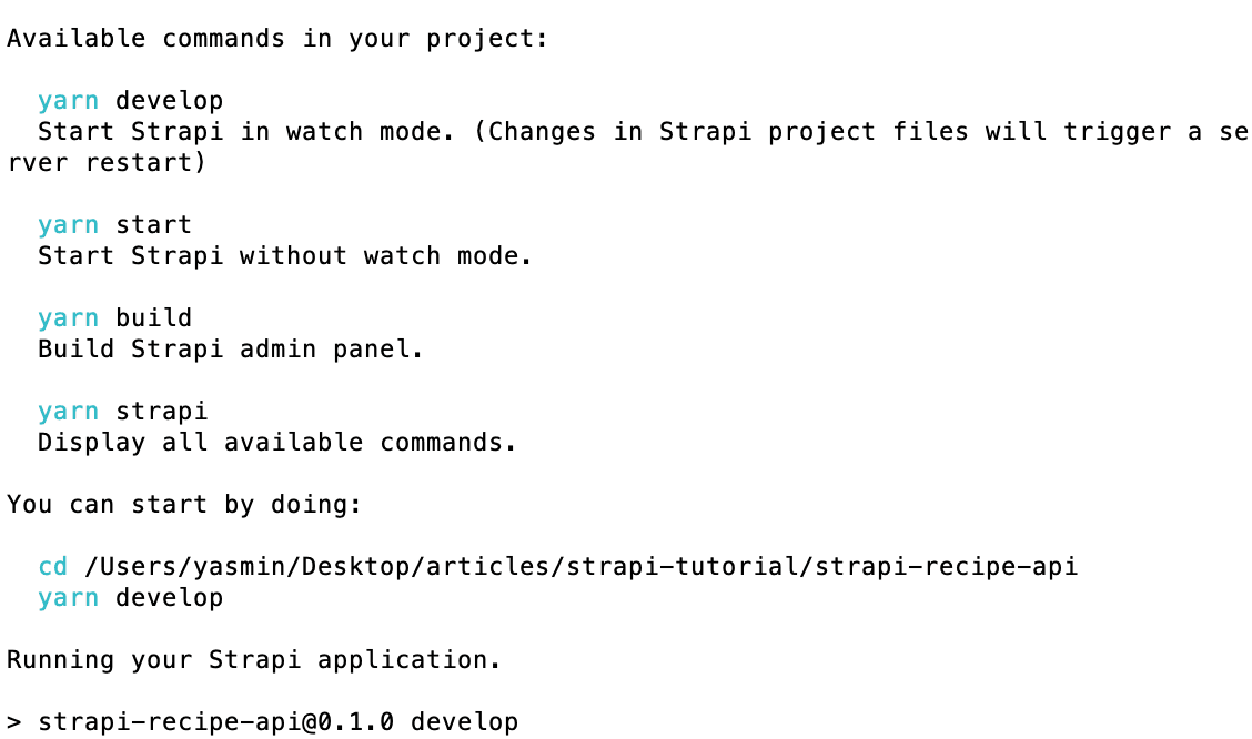 001-strapi-installation.png