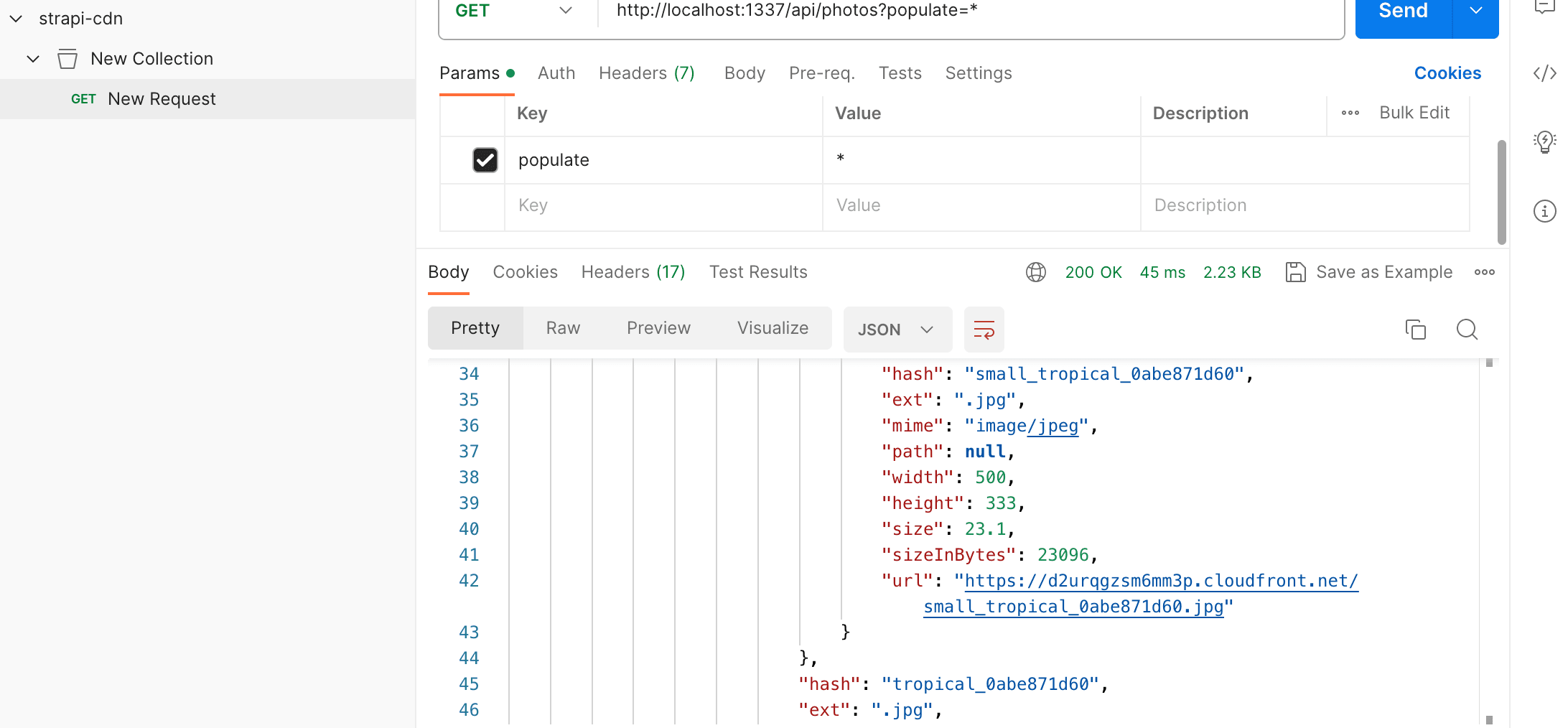 031-postman-rest-api-request-to-cdn.png