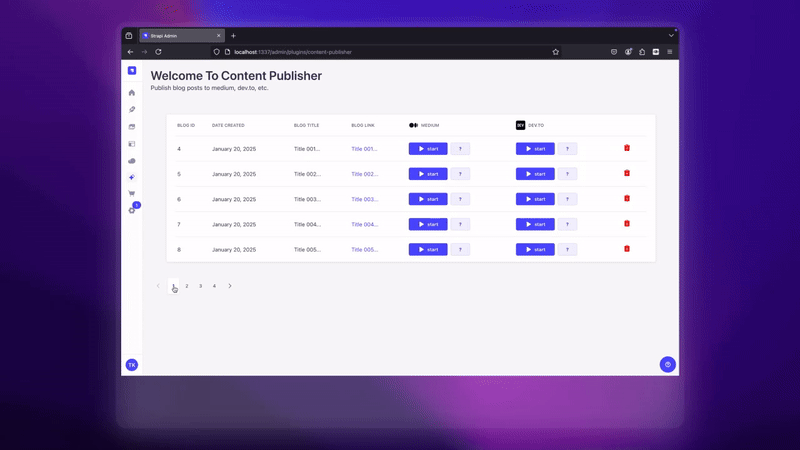 Custom Strapi Plugin With Pagination