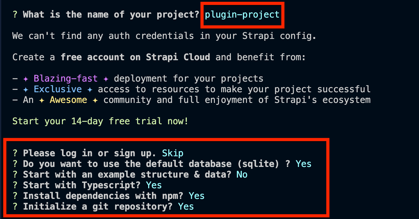 Install Strapi.png