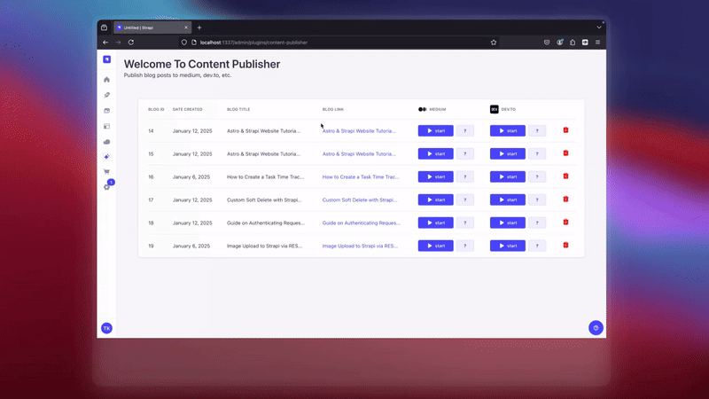 Publish to Dev With Strapi Plugin Demo