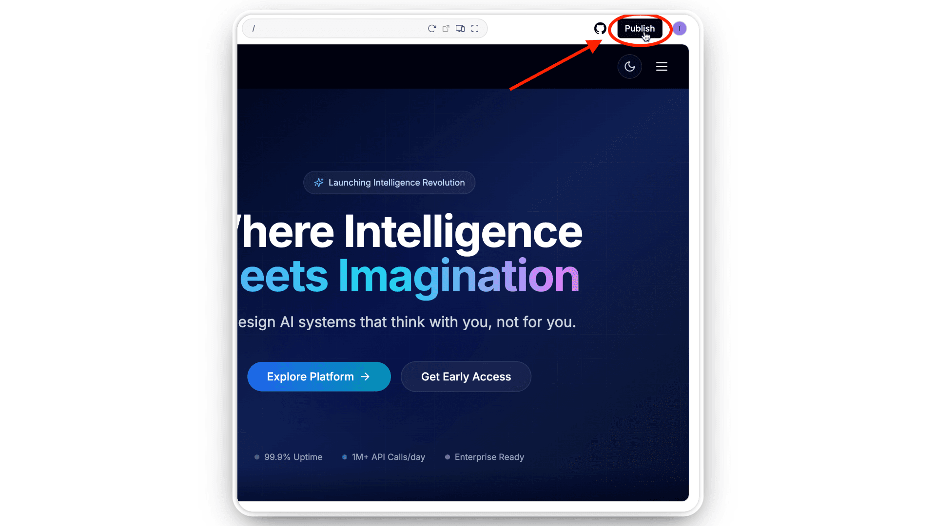 Publish your Project.png
