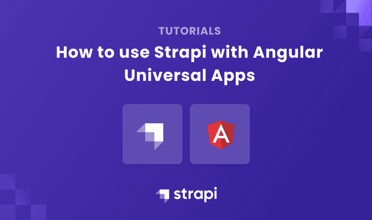 How to use Strapi with Angular Universal Apps