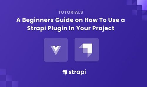 Use a Strapi Plugin For Beginners