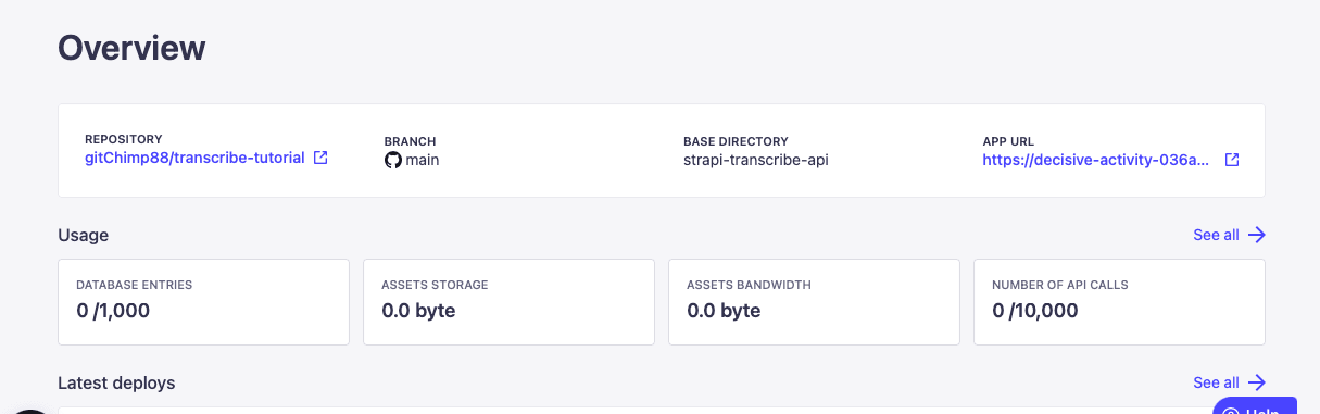strapi cloud projects overview.png