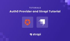 Registration and Login (Authentication) with Vue.js & Strapi